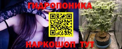 гашиш Аша
