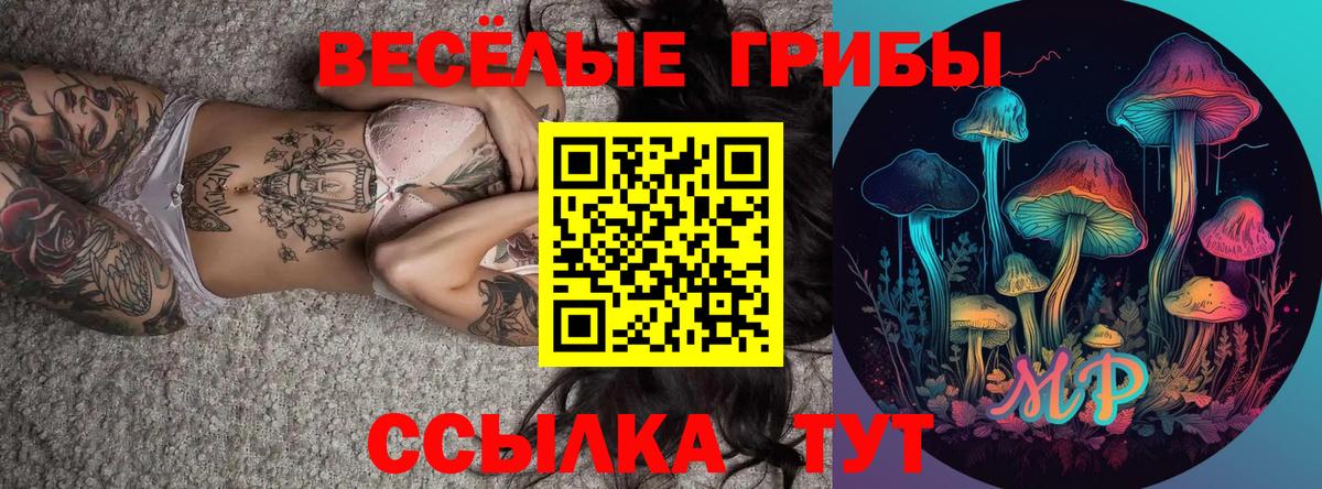Сосновоборск  Псилоцибиновые грибы мицелий  Вход с VPN  Галлюциногенные грибы MAGIC MUSHROOMS 